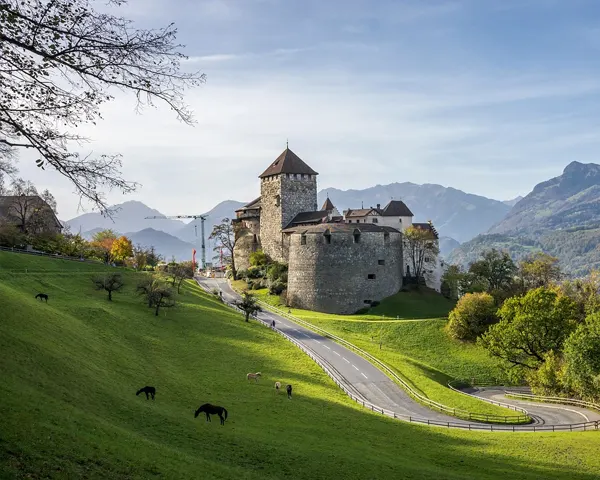 Umzug Liechtenstein Berlin